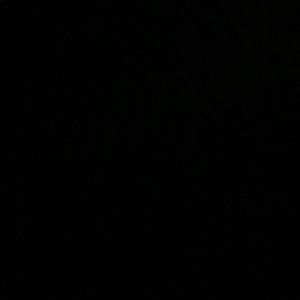 Meet your Posher, Ryann